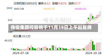 伟俊集团控股将于11月19日上午起复牌-第1张图片-多讯网