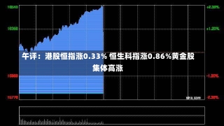 午评：港股恒指涨0.33% 恒生科指涨0.86%黄金股集体高涨-第3张图片-多讯网