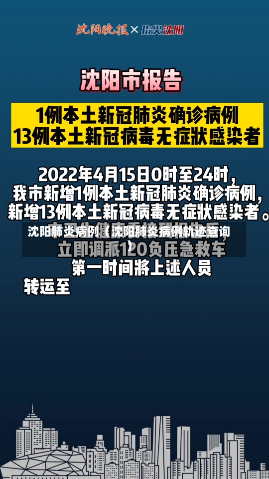 沈阳肺炎病例（沈阳肺炎病例轨迹查询）-第3张图片-多讯网