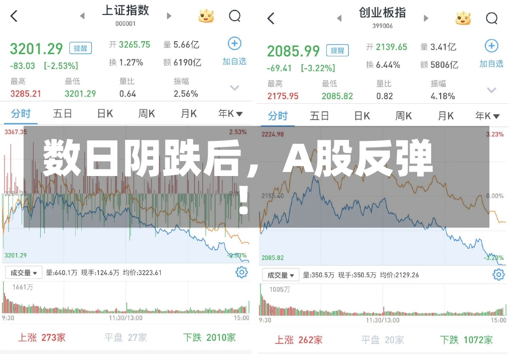 数日阴跌后，A股反弹！-第2张图片-多讯网