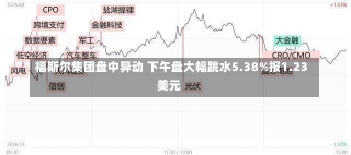 福斯尔集团盘中异动 下午盘大幅跳水5.38%报1.23美元-第2张图片-多讯网