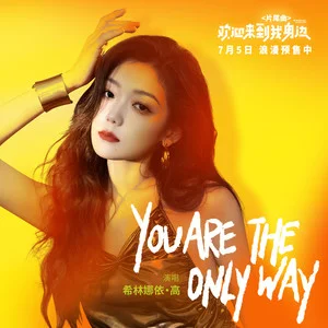You are the only way (《欢迎来到我身边》电影片尾曲)歌词完整版_原唱：希林娜依高